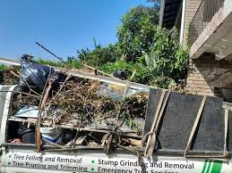 Best Retail Junk Removal  in Avondale, AZ