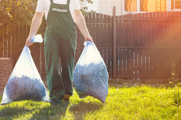 Best Shed Removal  in Avondale, AZ