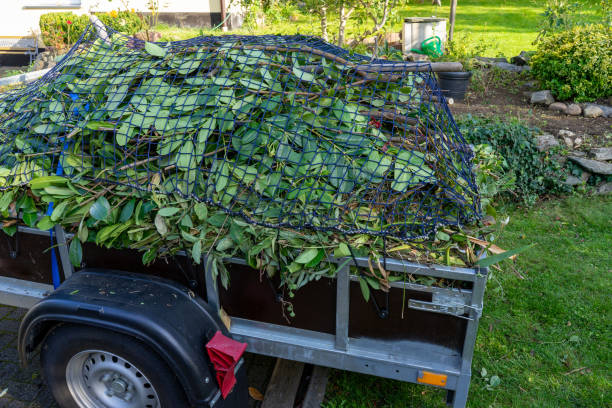 Best Dumpster Rental Services  in Avondale, AZ